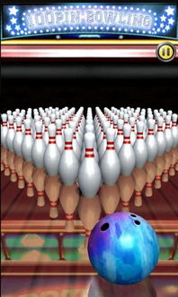 世界保齡球錦標賽官網下載 世界保齡球錦標賽手機下載