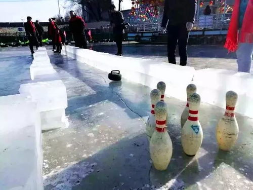 未來公民兩日營 1.8 9 冰雪營地奧運會 賽龍舟 冰壺保齡球 雪地攻防箭 雪上飛碟 雪合戰