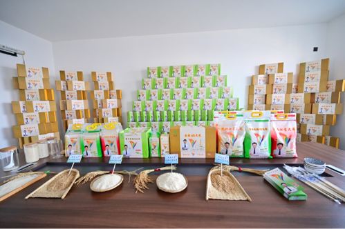 食安在沈北 幸福過大年