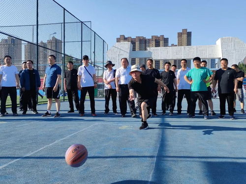 邯鄲市交通運輸局 精準施策保暢通，如同保齡球般精準擊倒難題